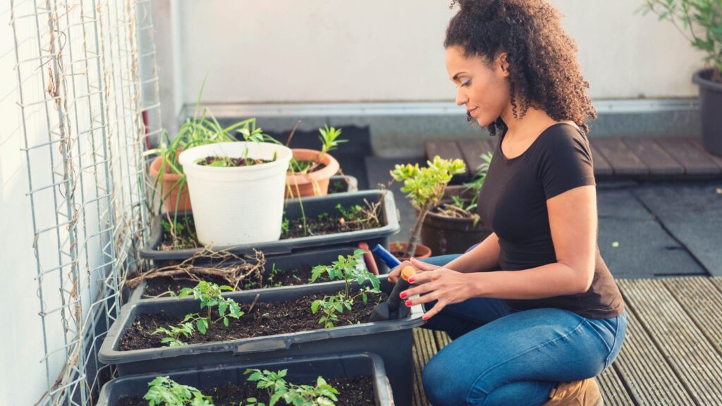 roof gardening